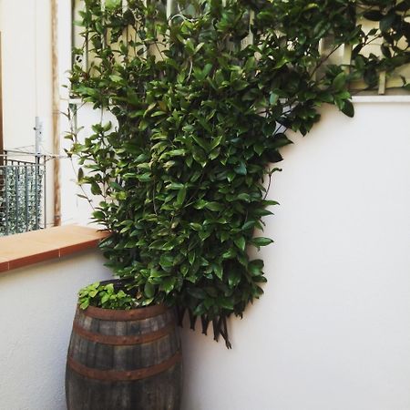 Il Terrazzino Sul Kemonia Apartment Palermo Exterior photo